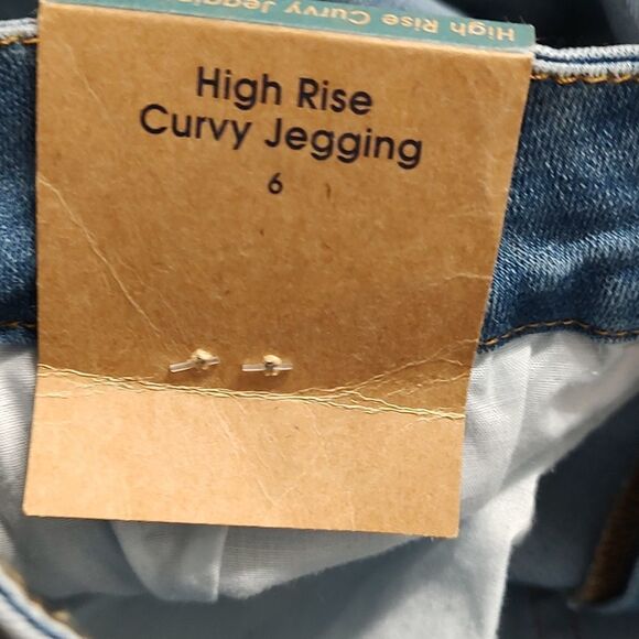 Aeropostale Seriously Stretchy High Rise Curvy Distressed Jeggings Sz 6 - Picture 12 of 13